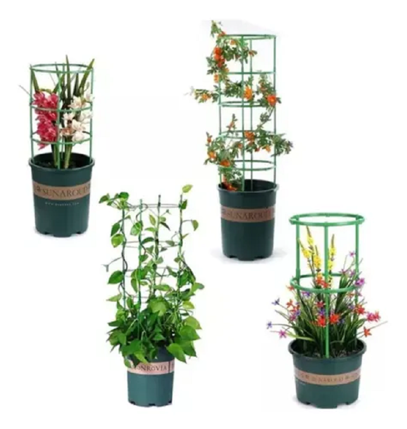Soporte Plantas Enredaderas Matas Rosas